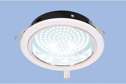 Light image holder